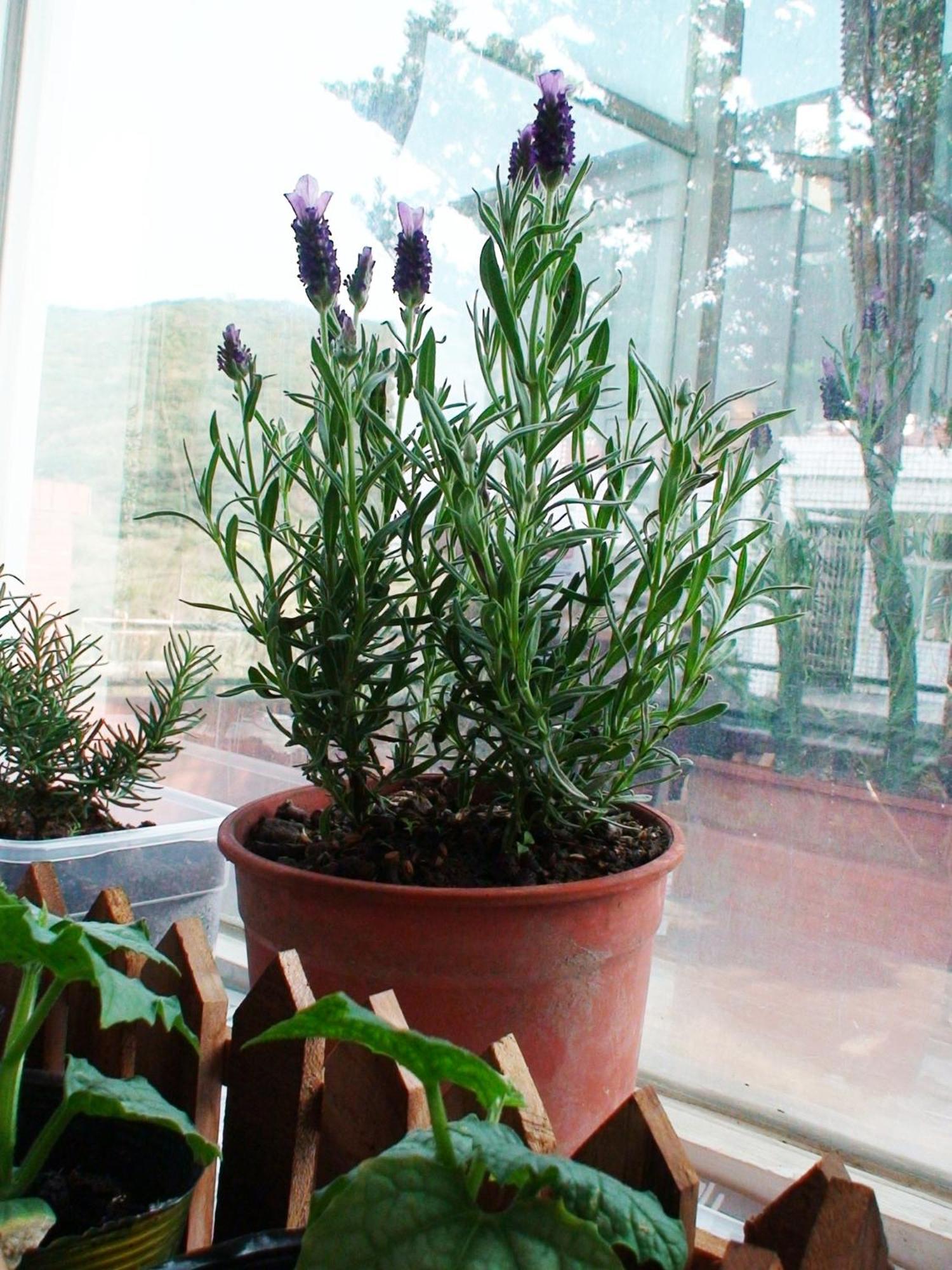 The Easy Space Fulong Ngoại thất bức ảnh